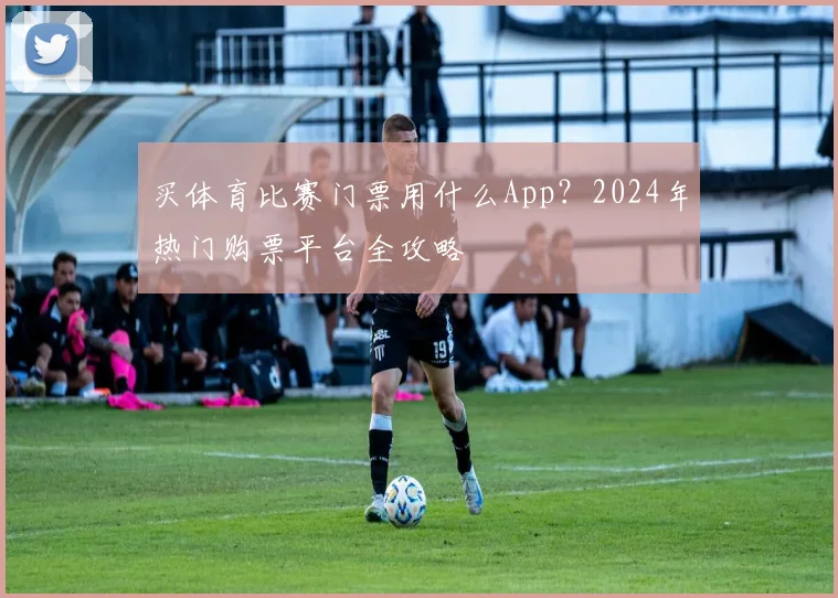 买体育比赛门票用什么App?2024年热门购票平台全攻略