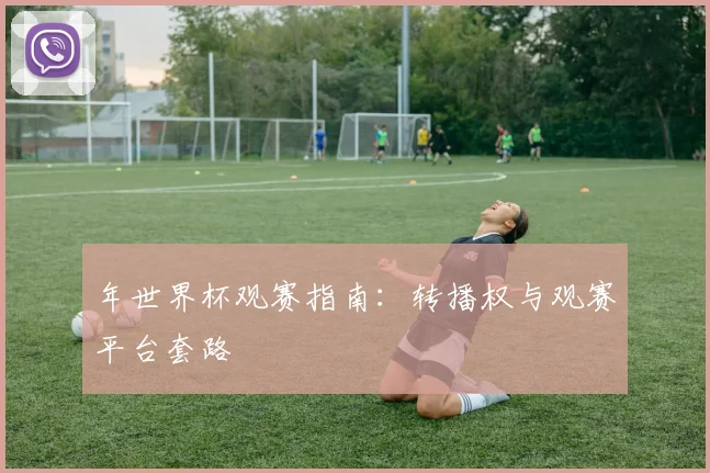 年世界杯观赛指南：转播权与观赛平台套路