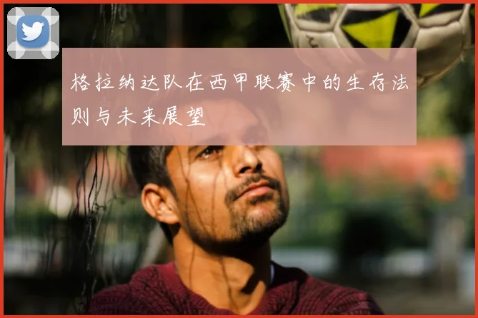 格拉纳达队在西甲联赛中的生存法则与未来展望