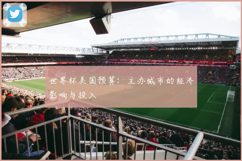 世界杯美国预算：主办城市的经济影响与投入
