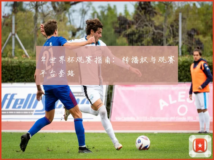 年世界杯观赛指南：转播权与观赛平台套路